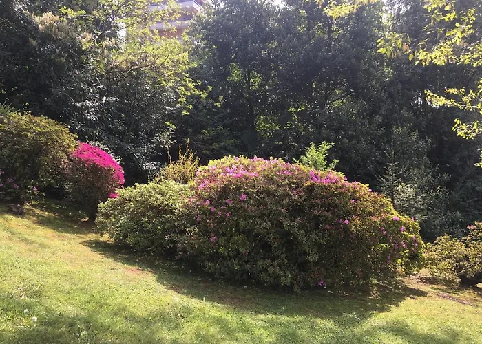 Ananda Bed and breakfast Verbania