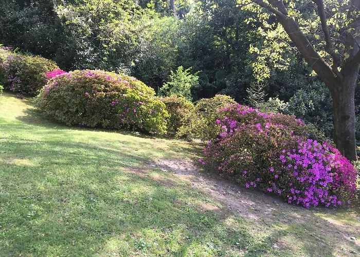 Bed and breakfast Ananda 4*